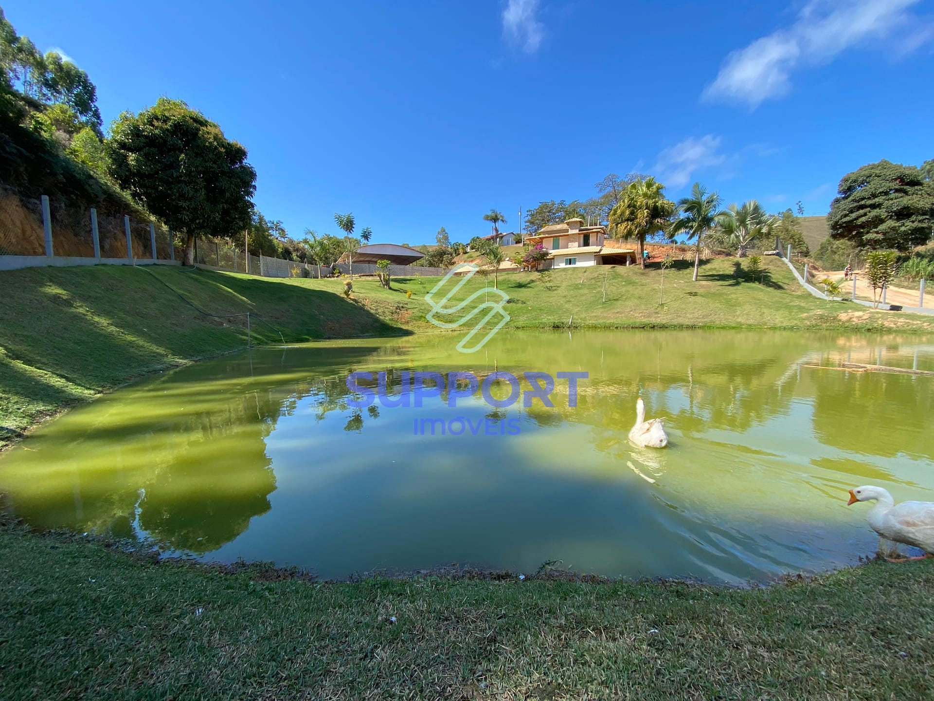 Chácara, 3 quartos, 2 hectares - Foto 1