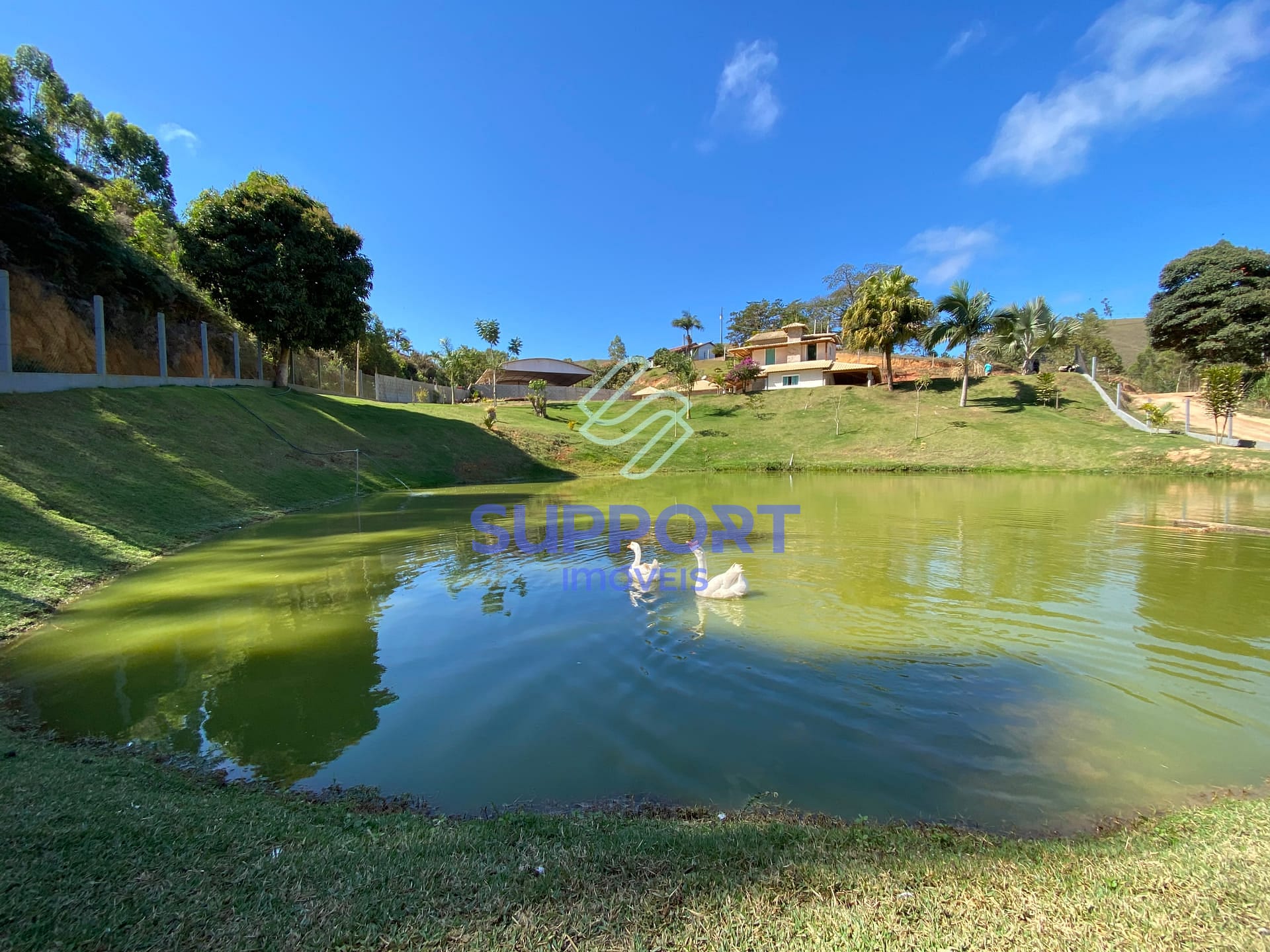 Chácara, 3 quartos, 2 hectares - Foto 75