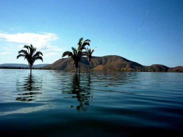 Foto do Chácara - Chácara à venda 1000M², Zona Rural, Niquelândia - GO | ZUCATO IMOBILIARIA LTDA