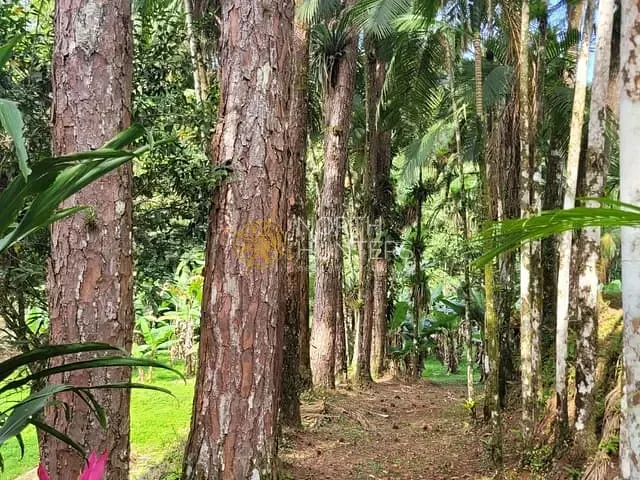 Chácara com 30600m² 3 quartos e 3 banheiros, à venda, no bairro Pirabeiraba (Pirabeiraba) em Joinville