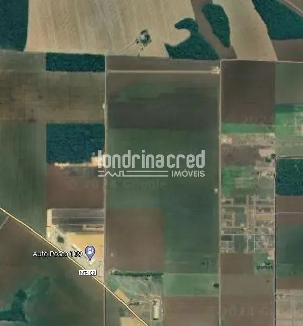 Terreno, 111 hectares - Foto 4