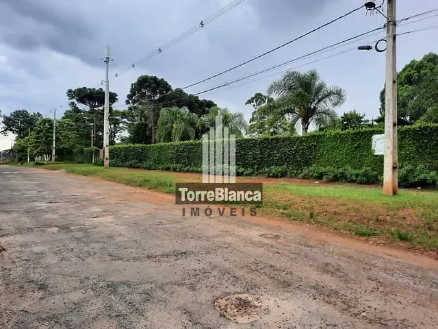 Chácara com 5000m², à venda, no bairro Jardim Carvalho em Ponta Grossa