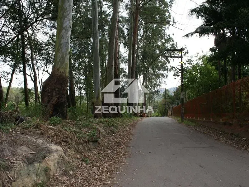 Chácara, 4 quartos, 2000 m² - Foto 12