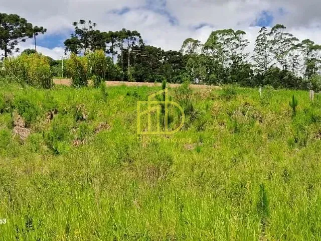 Chácara com 48400m², à venda, no bairro Vila Rica em São Miguel Arcanjo
