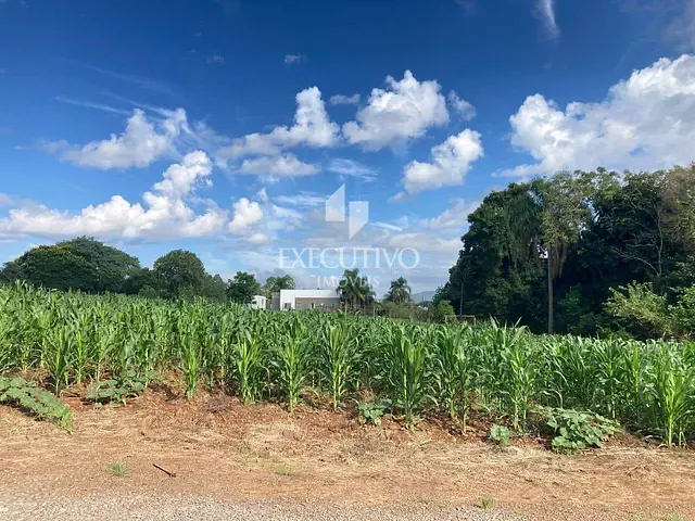 Chácara à venda, no bairro Bairro Aimoré em Arroio do Meio
