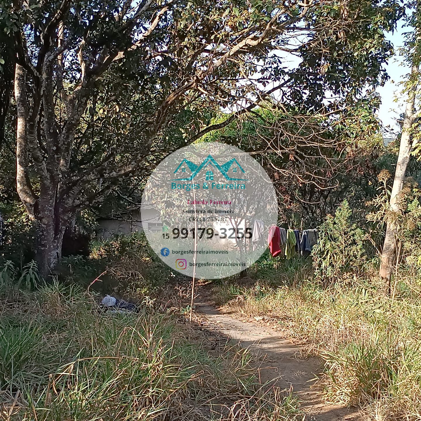 Chácara à venda com 2 quartos, 1500m² - Foto 3
