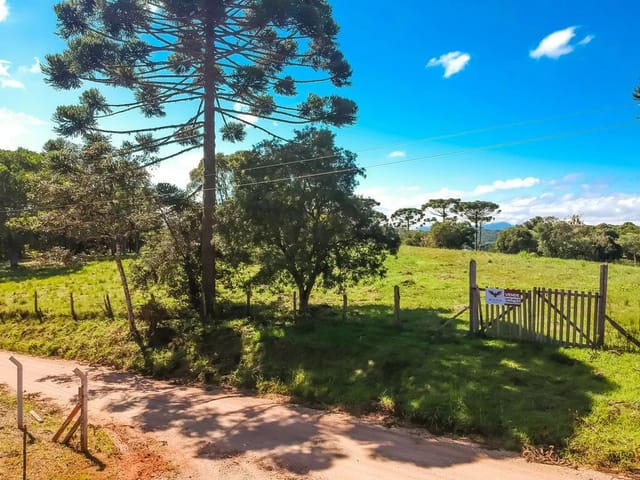 Chácara com 9340m², à venda, no bairro Chácara Olhos D´água em Campina Grande Do Sul
