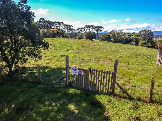Sítio com 9340m², à venda, no bairro Chácara Olhos D´água em Campina Grande Do Sul