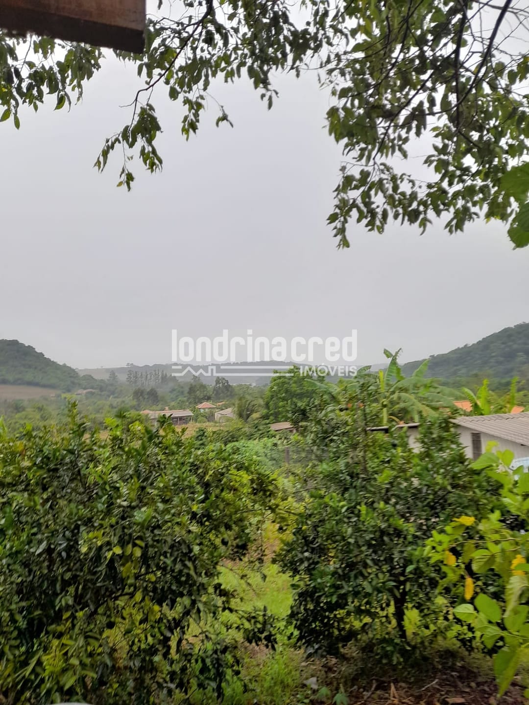 Sítio, 1 quarto, 525 m² - Foto 12