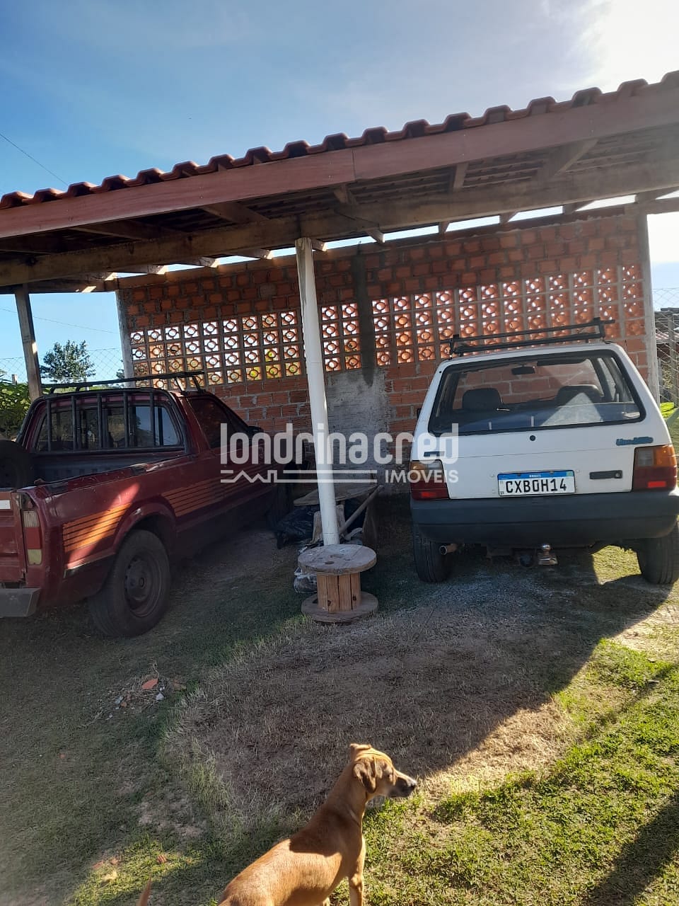 Sítio, 1 quarto, 525 m² - Foto 3