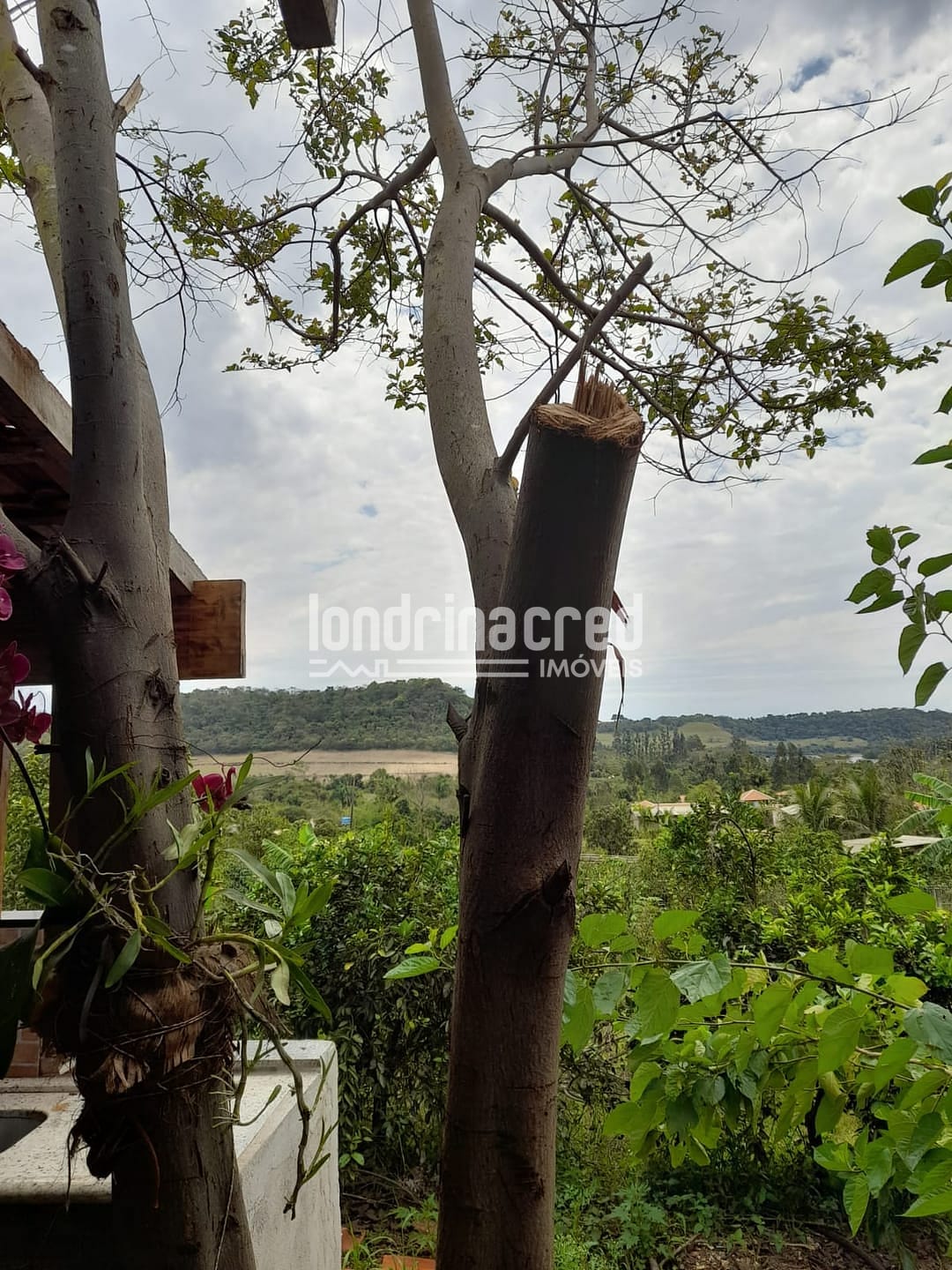 Sítio, 1 quarto, 525 m² - Foto 11