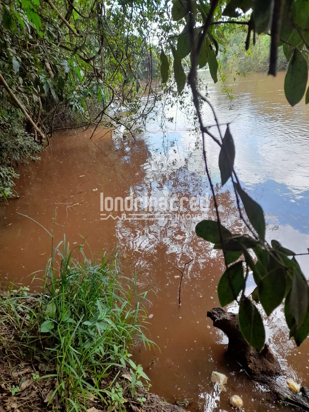 Sítio, 1 quarto, 525 m² - Foto 16