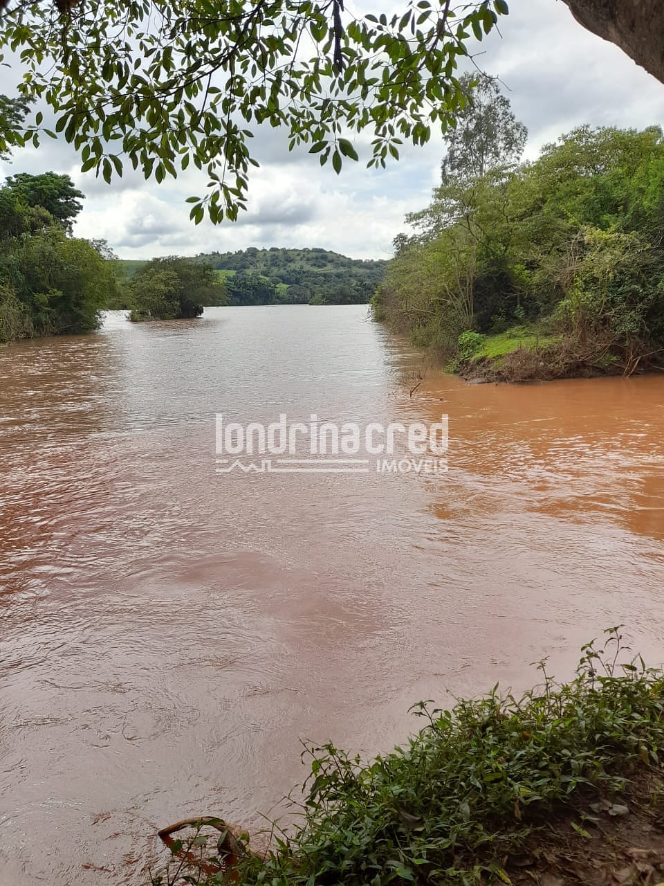 Sítio, 1 quarto, 525 m² - Foto 10