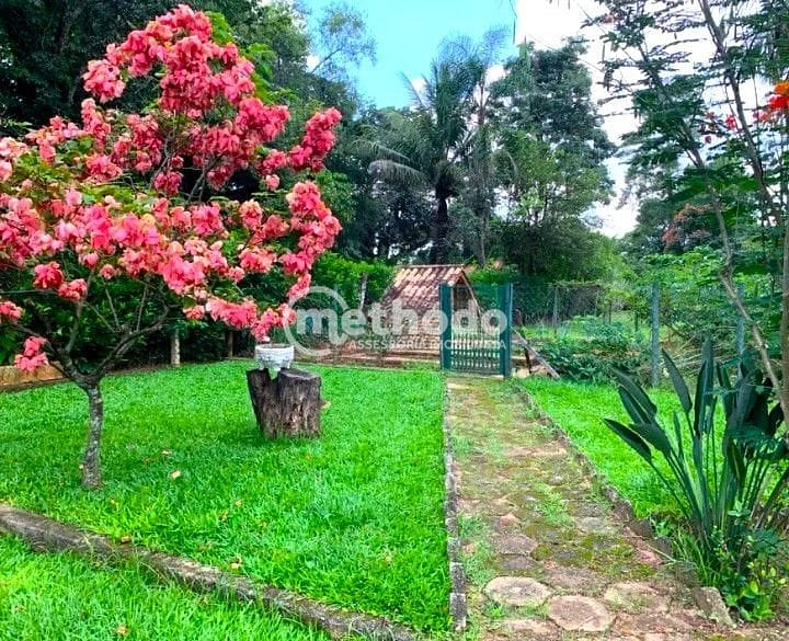 Chácara, 4 quartos, 3600 m² - Foto 4