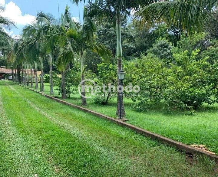 Chácara, 4 quartos, 3600 m² - Foto 41