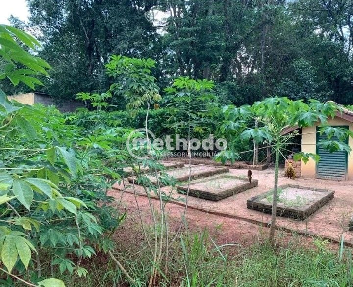 Chácara, 4 quartos, 3600 m² - Foto 38