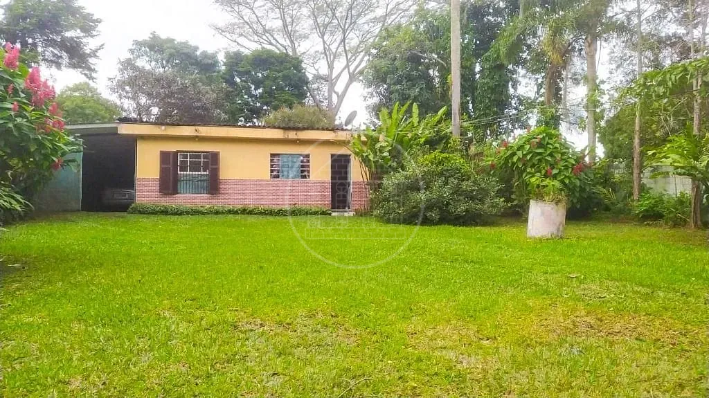 Sítio, 2 quartos, 1190 m² - Foto 1