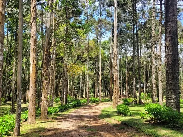 Chácara com 30000m² 3 quartos e 1 banheiro, à venda, no bairro Área Rural de Joinville em Joinville