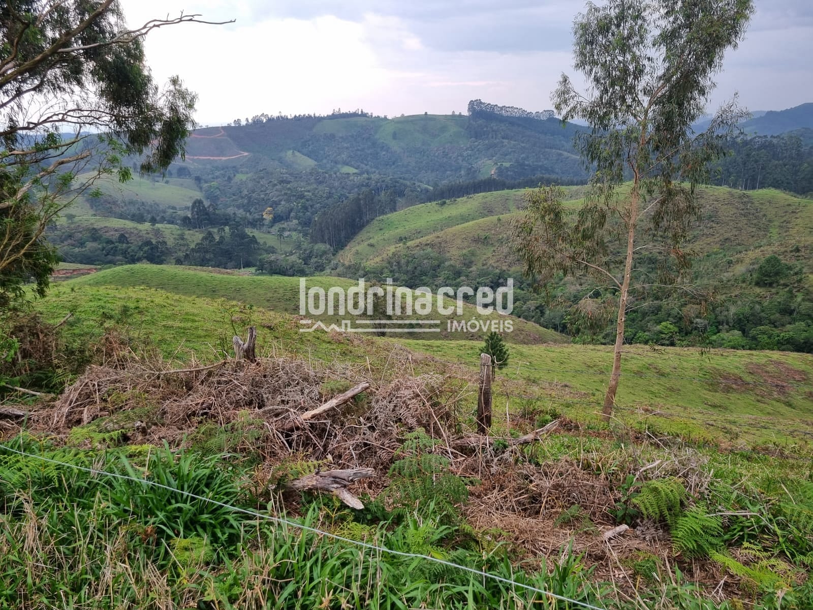 Sítio, 1 quarto, 74 hectares - Foto 5