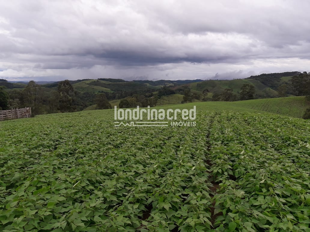 Sítio, 1 quarto, 74 hectares - Foto 2