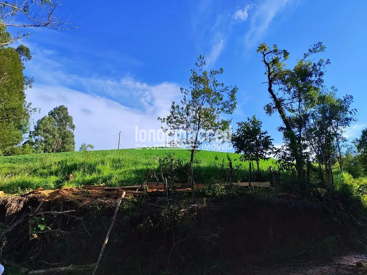 Sítio, 1 quarto, 74 hectares - Foto 25