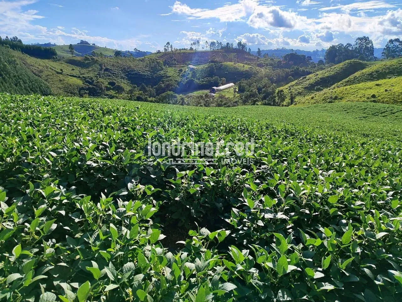 Sítio, 1 quarto, 74 hectares - Foto 22