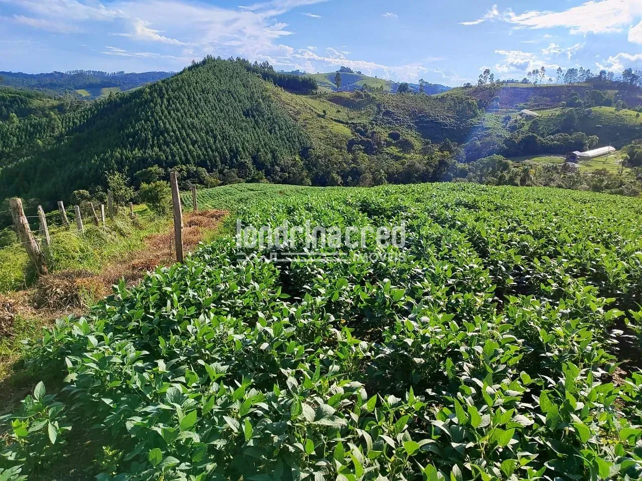 Sítio, 1 quarto, 74 hectares - Foto 21
