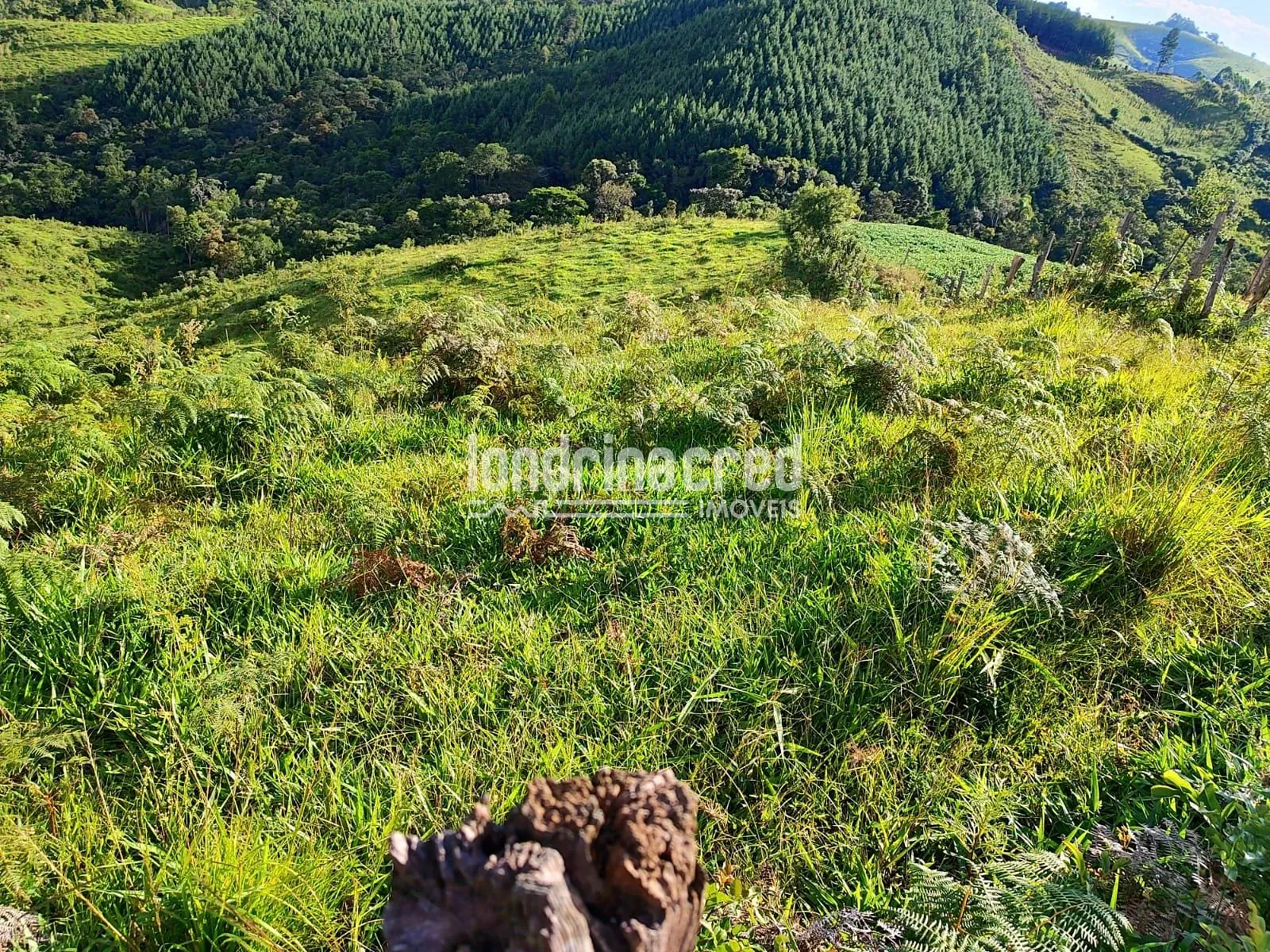 Sítio, 1 quarto, 74 hectares - Foto 19