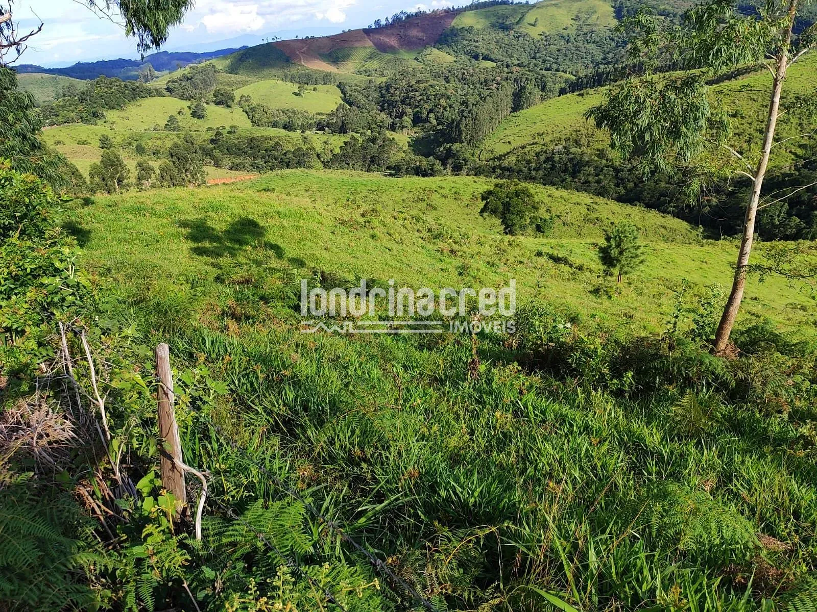 Sítio, 1 quarto, 74 hectares - Foto 16