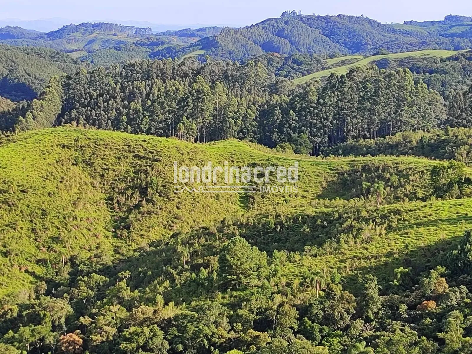 Sítio, 1 quarto, 74 hectares - Foto 15