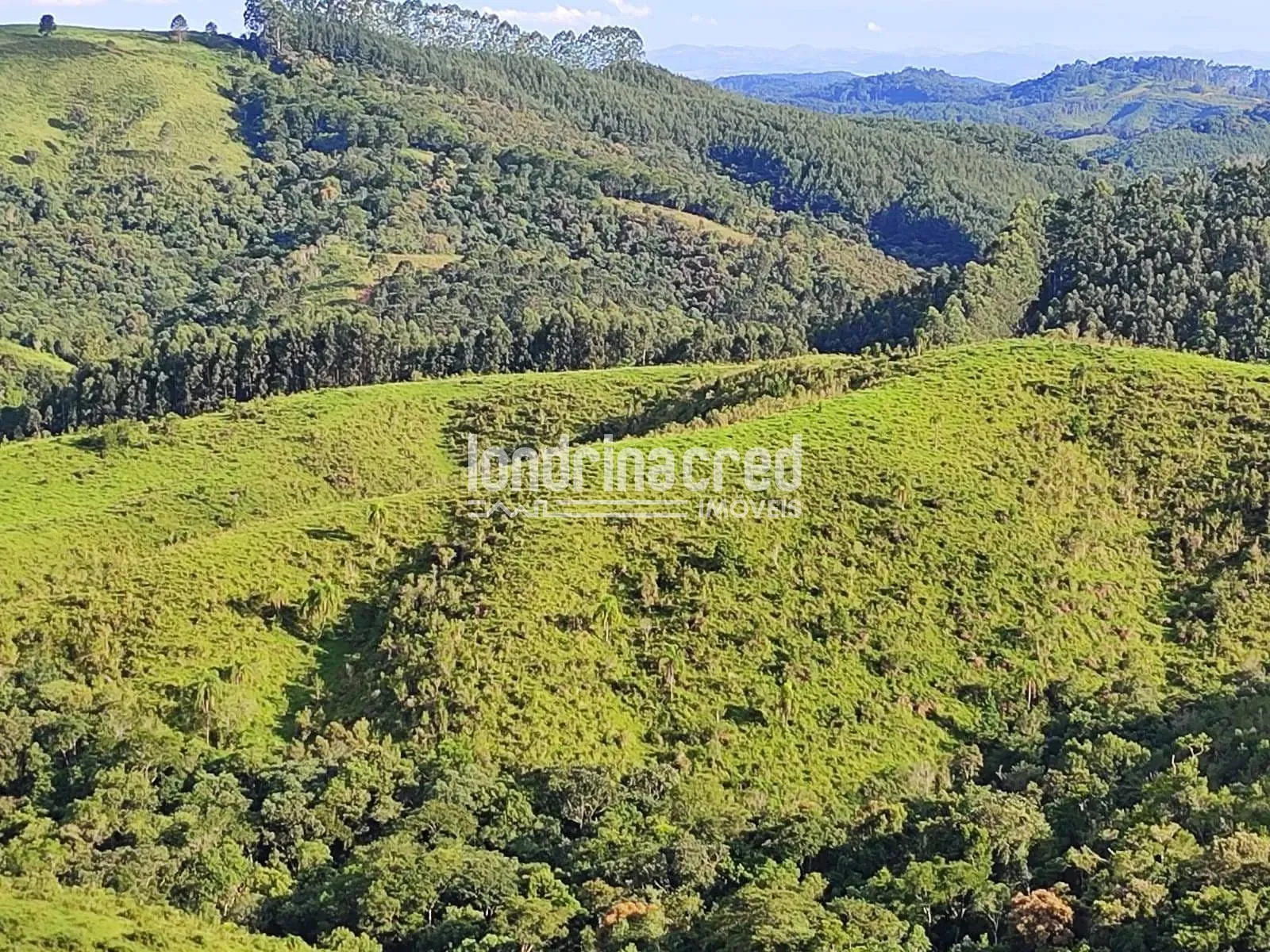 Sítio, 1 quarto, 74 hectares - Foto 14