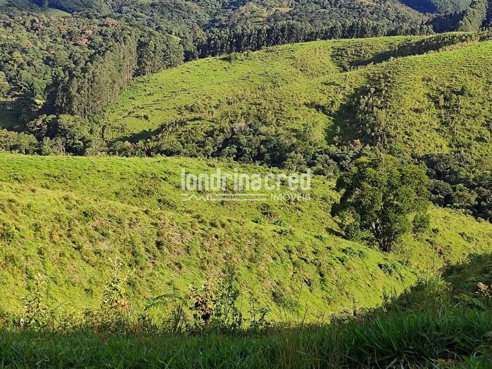Sítio, 1 quarto, 74 hectares - Foto 12