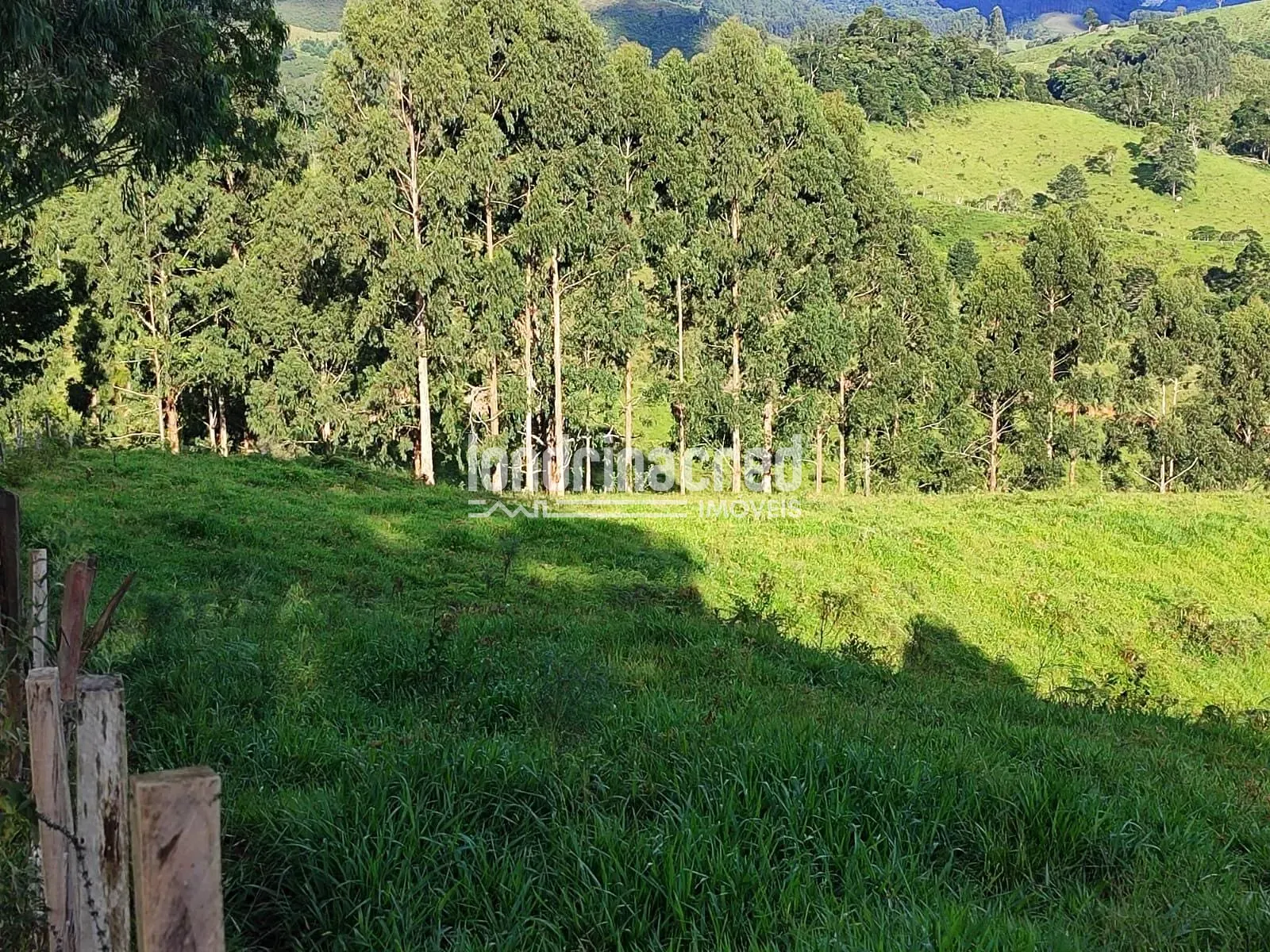 Sítio, 1 quarto, 74 hectares - Foto 10