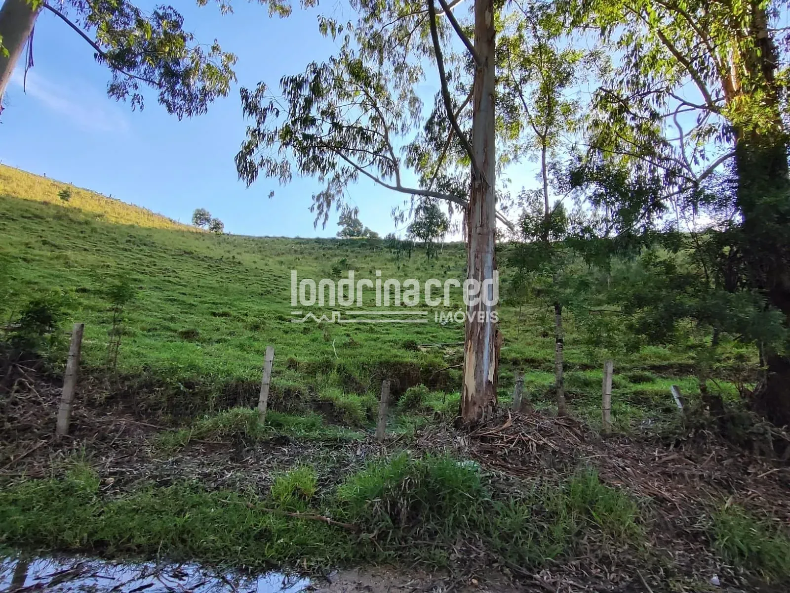 Sítio, 1 quarto, 74 hectares - Foto 7