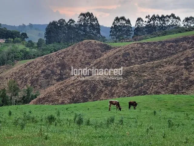 Chácara com 744000m², à venda, no bairro Zona Rural em Castro
