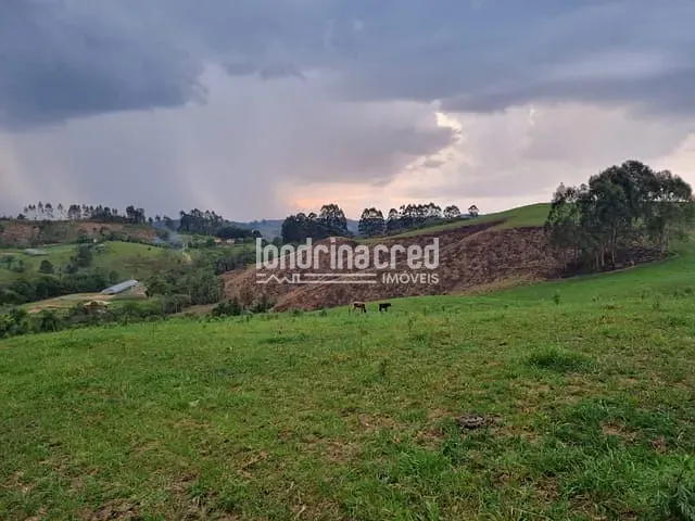Chácara com 744000m², à venda, no bairro Zona Rural em Castro