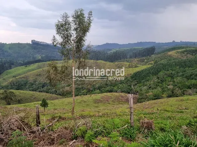 Chácara com 744000m², à venda, no bairro Zona Rural em Castro