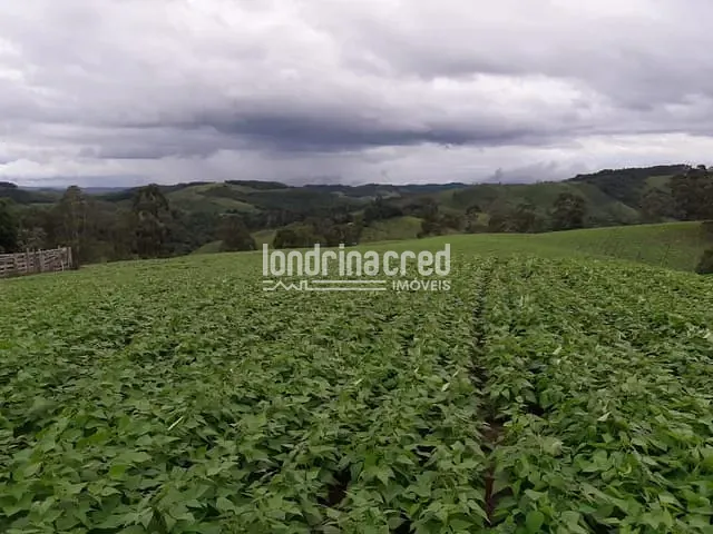 Chácara com 744000m², à venda, no bairro Zona Rural em Castro
