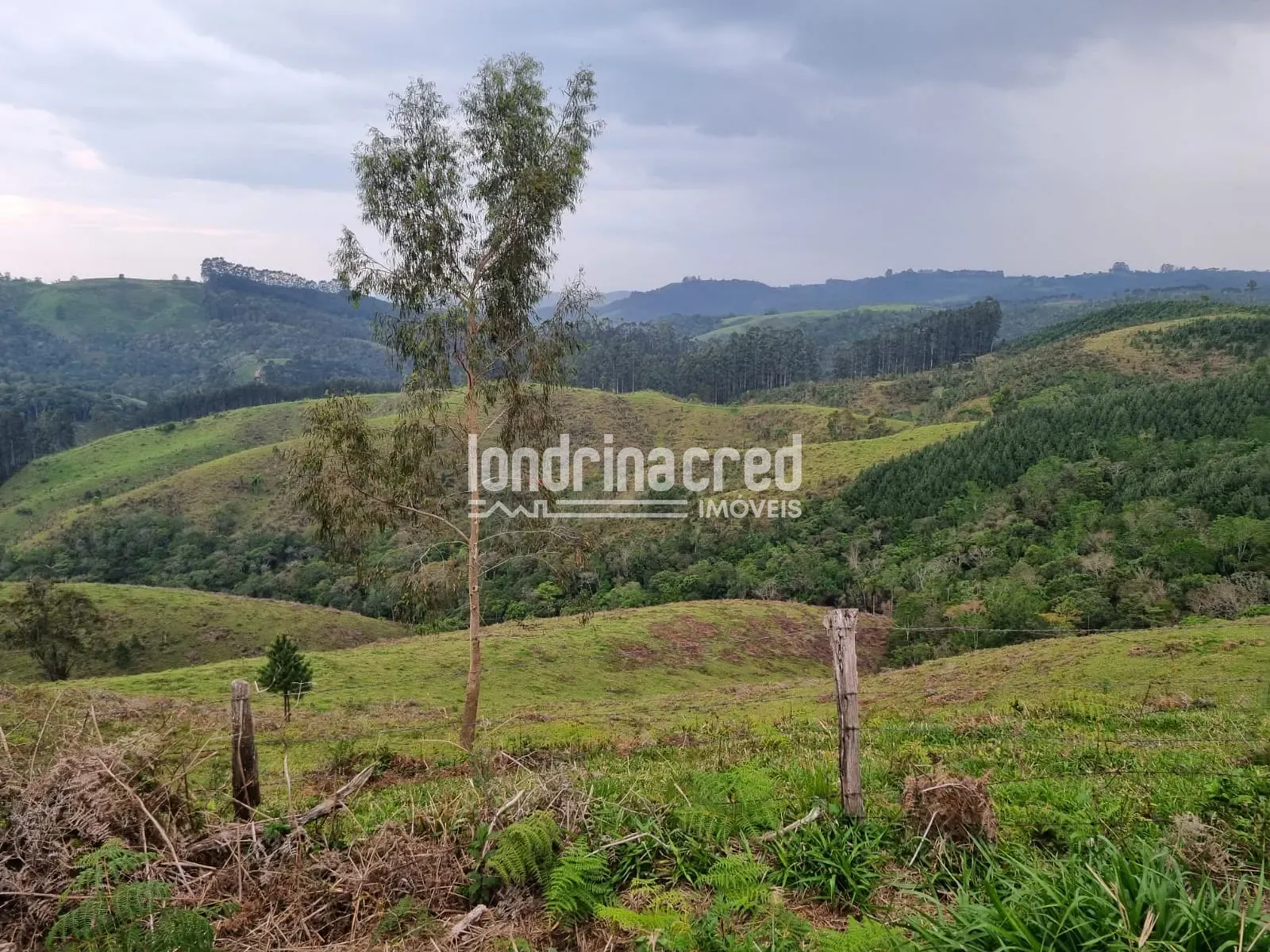 Sítio, 1 quarto, 74 hectares - Foto 3