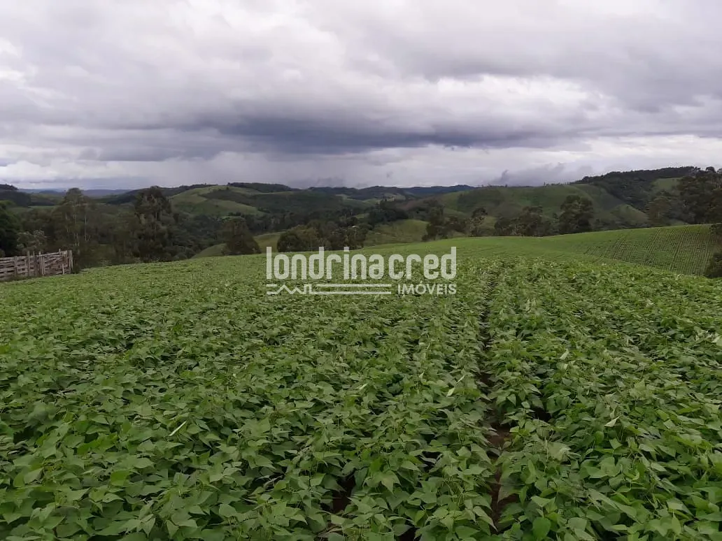 Sítio, 1 quarto, 74 hectares - Foto 2