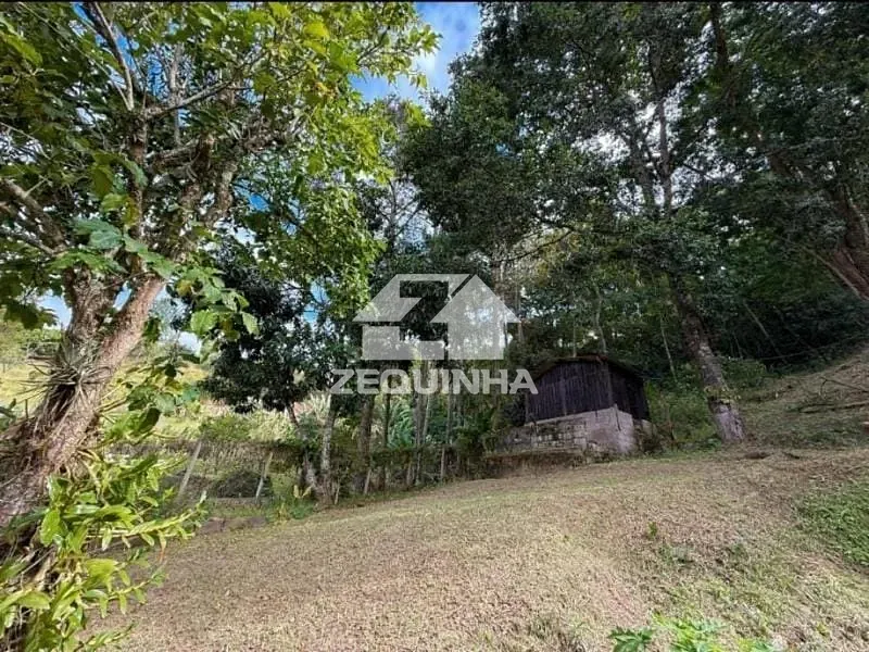 Chácara, 4 quartos, 4357 m² - Foto 6