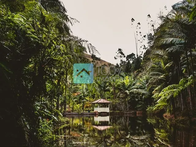 Chácara com 157500m², à venda, no bairro Turvo em Turvo