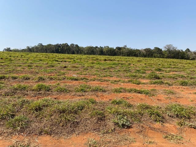 Foto do Chácara - Chácara à venda, 1500 m² por R$ 65.000,00 - Ouvidor - Machado/MG | H. DE PAIVA MAGALHAES & F.DE PAIVA MAGALHAES LTDA