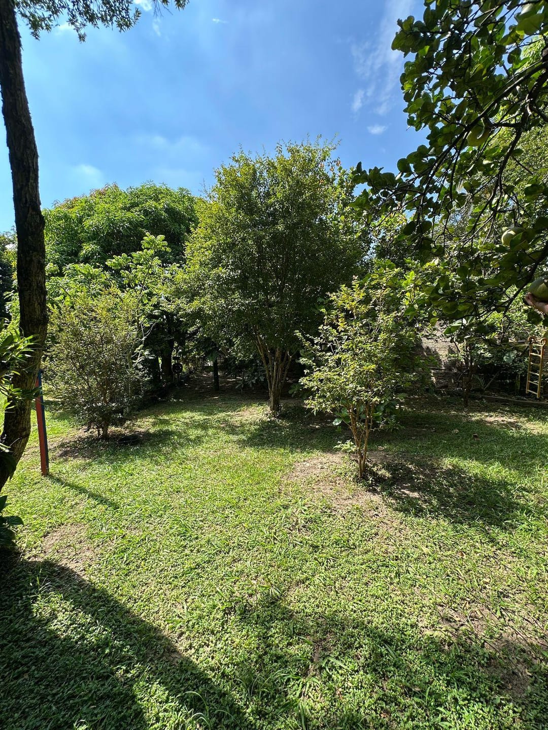 Chácara, 2 quartos, 1000 m² - Foto 6