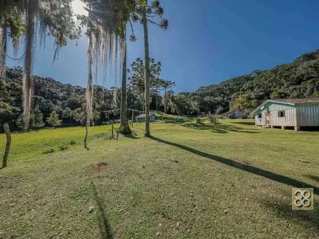 Sítio à venda, no bairro Não informado em Campina Grande Do Sul