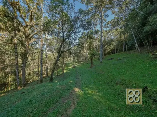 Sítio à venda, no bairro Não informado em Campina Grande Do Sul