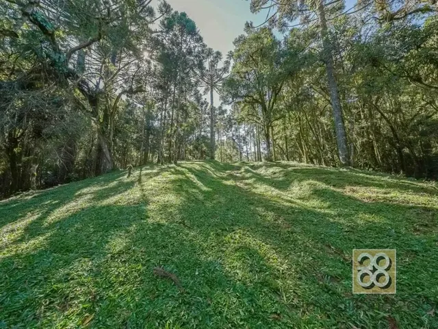 Sítio à venda, no bairro Não informado em Campina Grande Do Sul