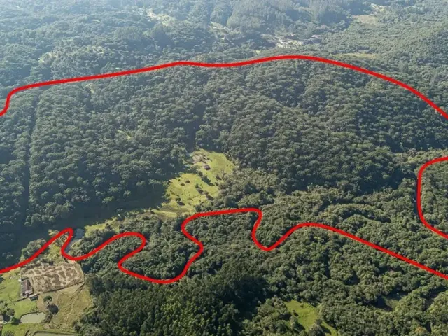 Sítio à venda, no bairro Não informado em Campina Grande Do Sul