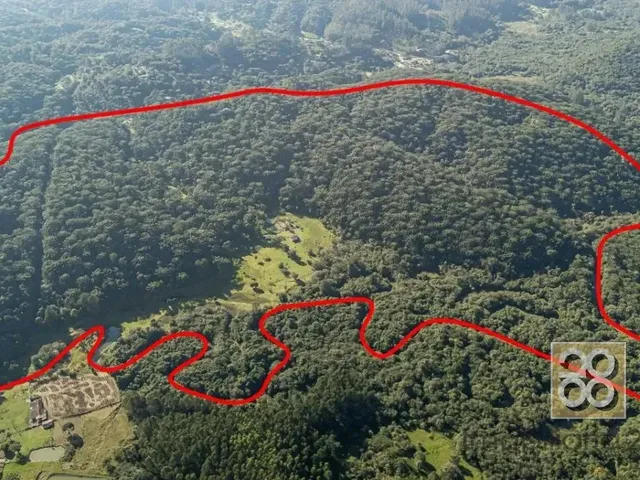 Sítio à venda, no bairro Não informado em Campina Grande Do Sul