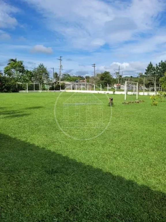 Sítio, 3 quartos, 3000 m² - Foto 13